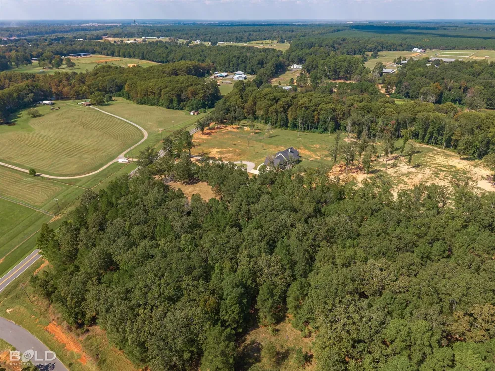 1228 Old Plain Dealing Road Benton, LA 71006