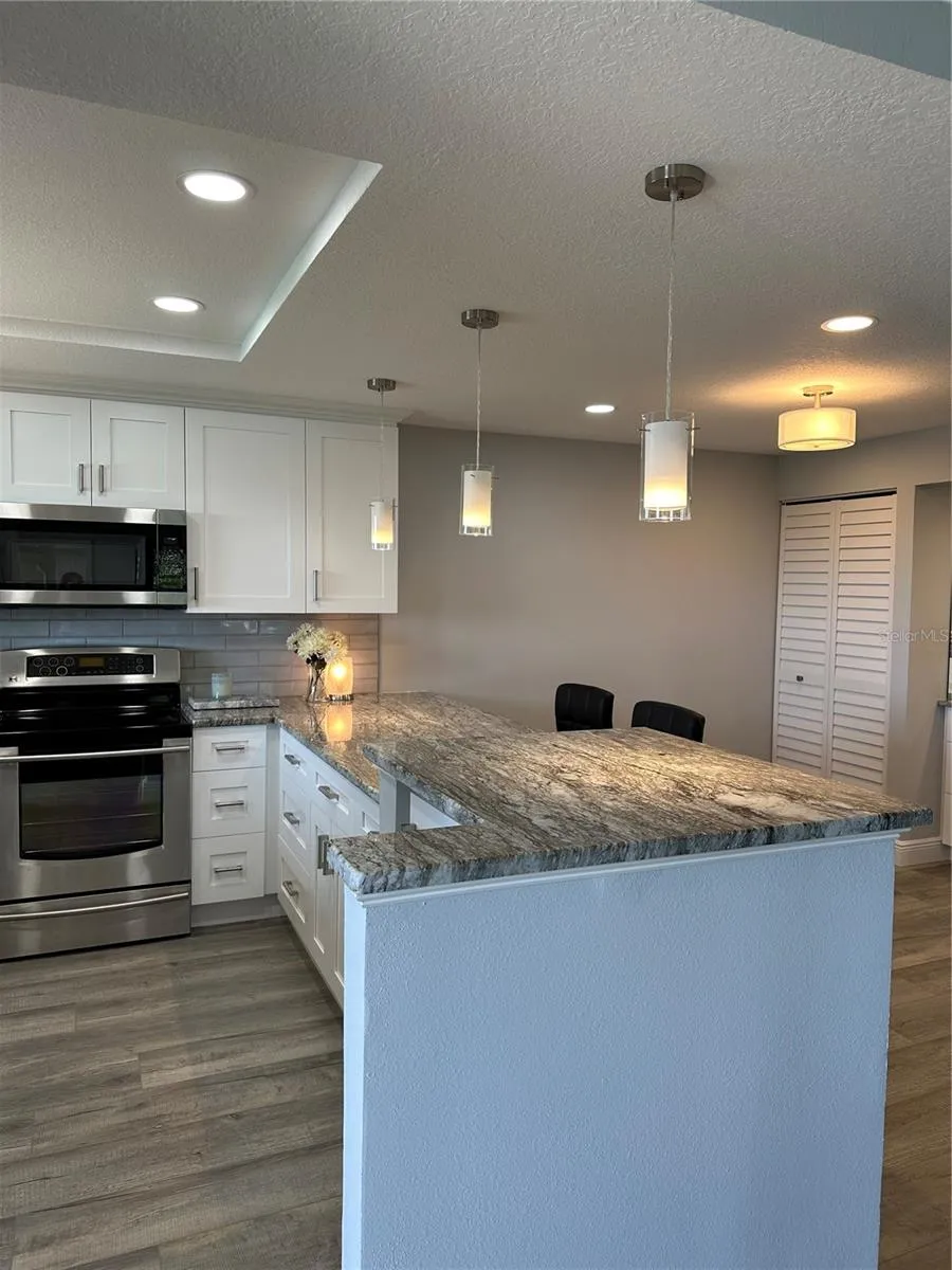 12500 CAPRI CIR N #401 Treasure Island, FL 33706