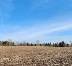 Lot 7 706th St Wabasha, MN 55981