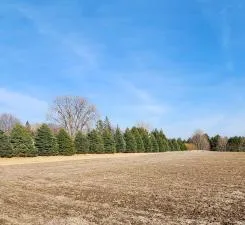 Lot 7 706th St Wabasha, MN 55981