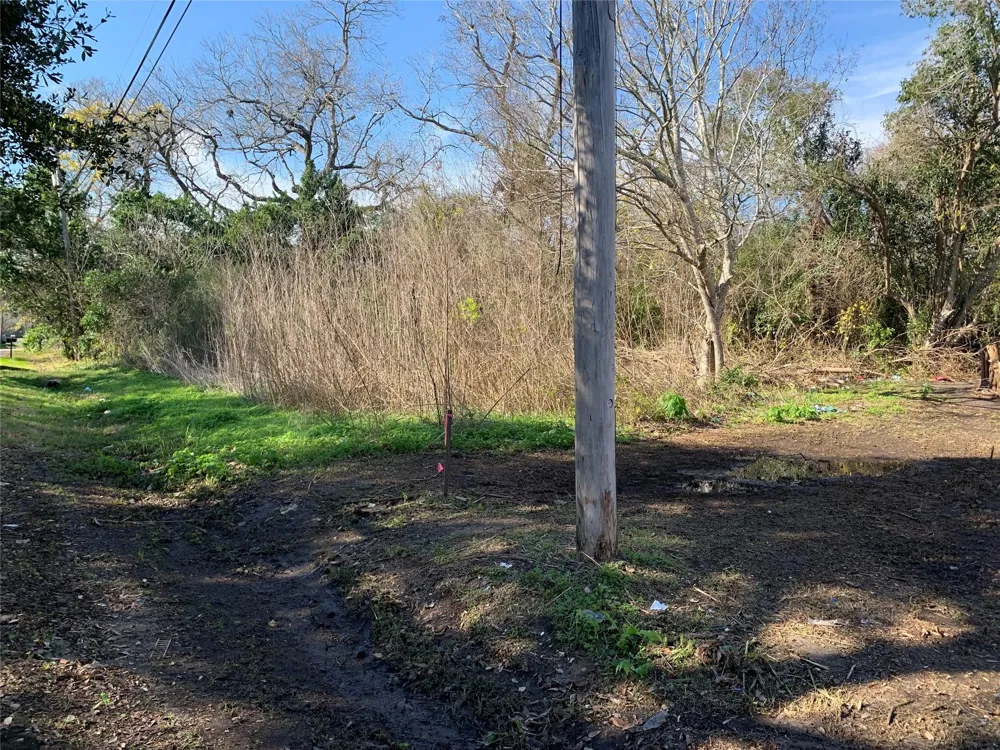 232 S Bell Drive Texas City, TX 77591