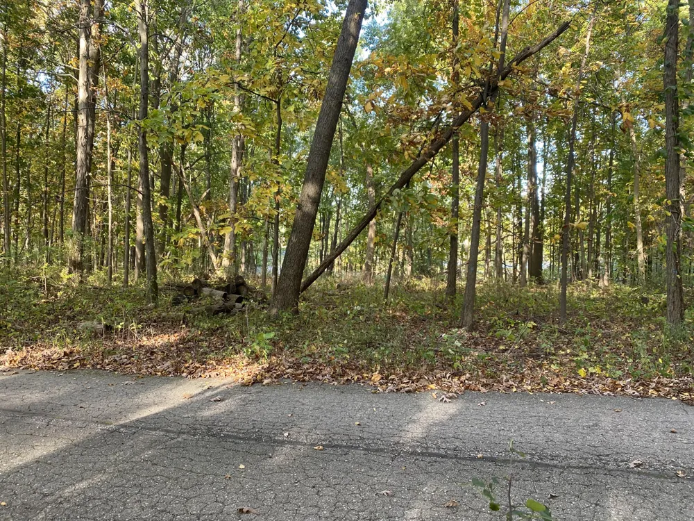 9540 Vincent Avenue SE Alto, MI 49302