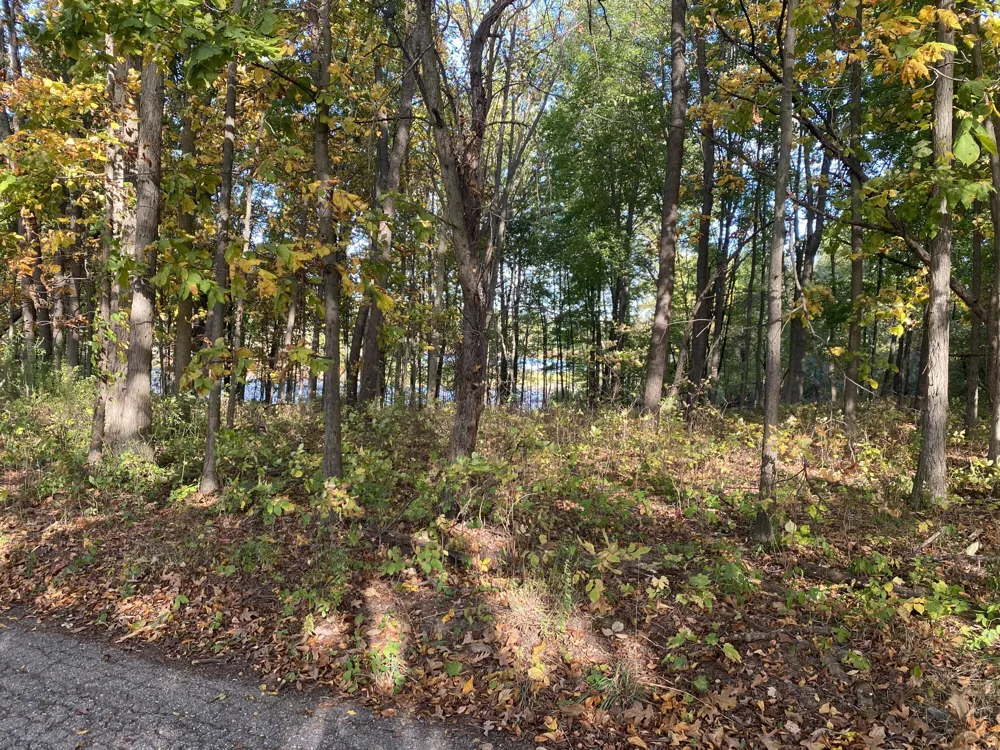 9540 Vincent Avenue SE Alto, MI 49302