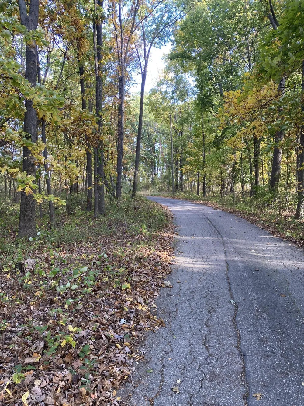 9540 Vincent Avenue SE Alto, MI 49302