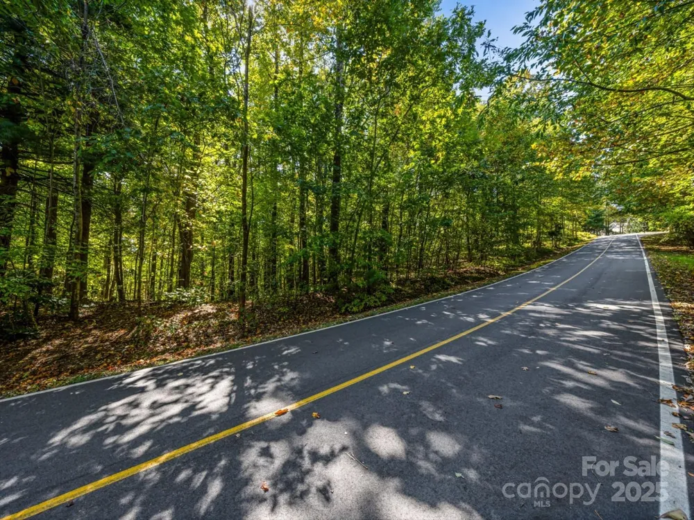 Lot 10 Berry Creek Drive Flat Rock, NC 28731