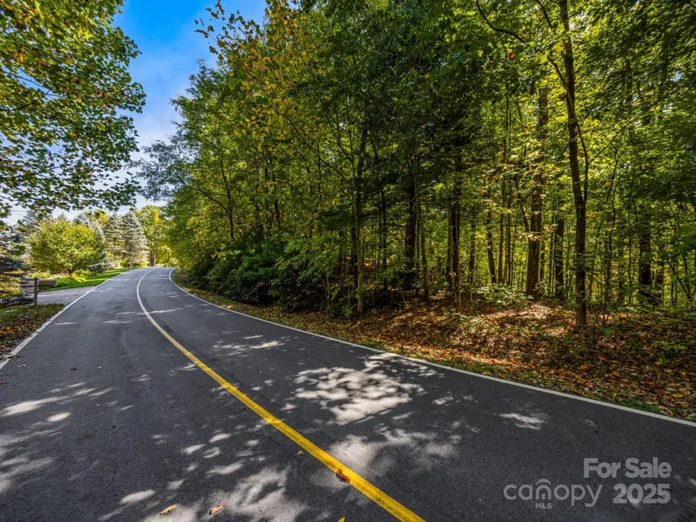 Lot 10 Berry Creek Drive Flat Rock, NC 28731