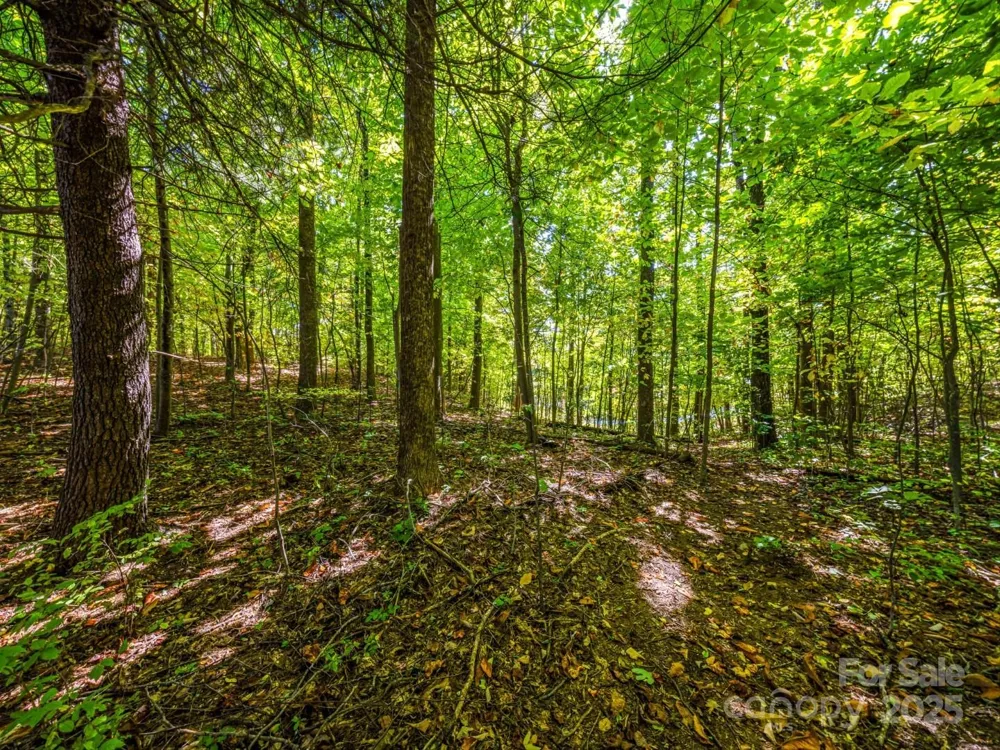 Lot 10 Berry Creek Drive Flat Rock, NC 28731