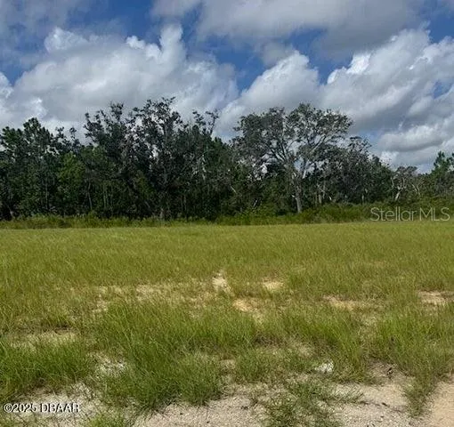 93 CORONADO ROAD Flagler Beach, FL 32136