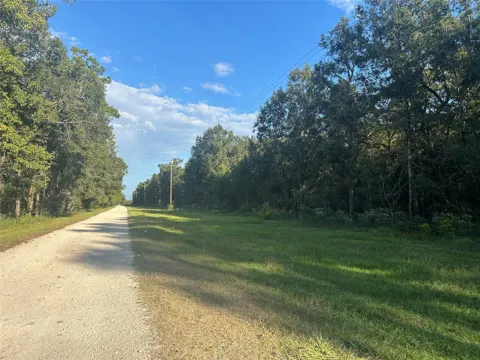 45 Tx-61 Pr 117