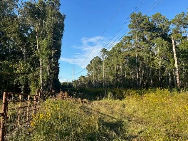 45 Tx-61 Pr 117 Devers, TX 77538