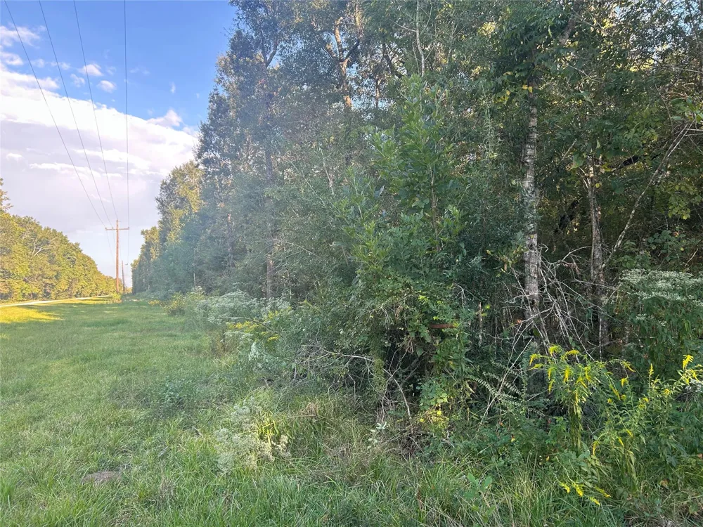 45 Tx-61 Pr 117 Devers, TX 77538