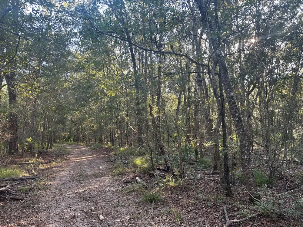 45 Tx-61 Pr 117 Devers, TX 77538