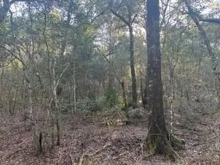 45 Tx-61 Pr 117 Devers, TX 77538