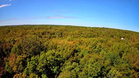 Ridge Wood Lane