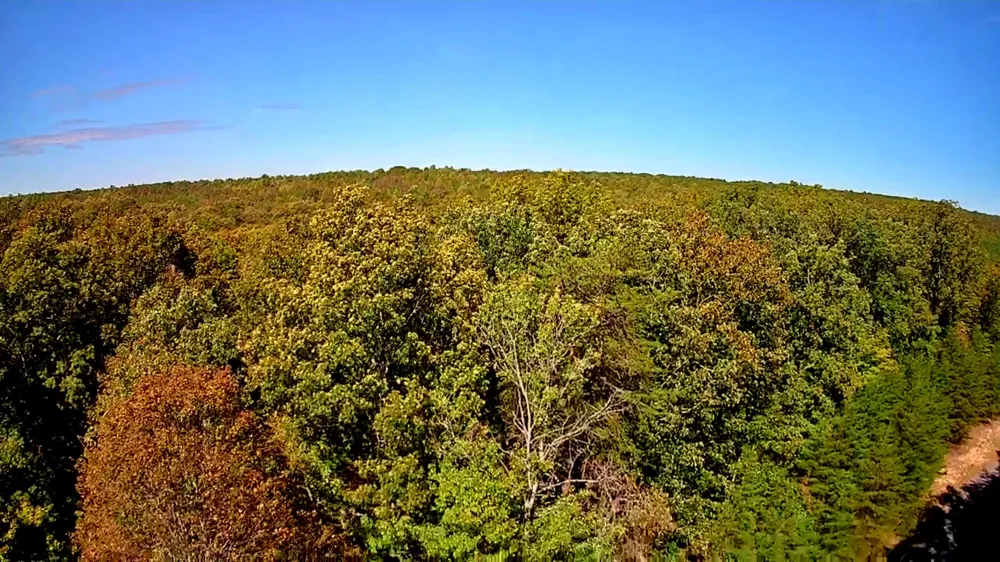 Ridge Wood Lane Spencer, TN 38585