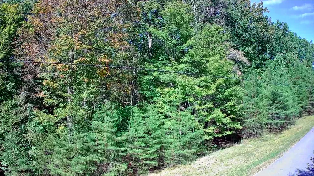 Ridge Wood Lane Spencer, TN 38585