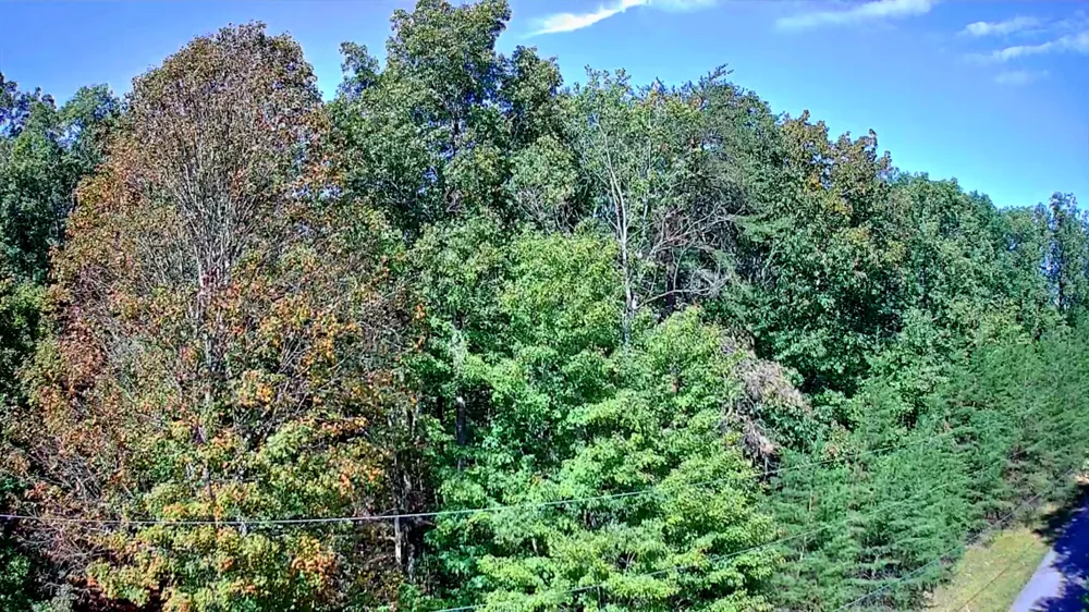 Ridge Wood Lane Spencer, TN 38585