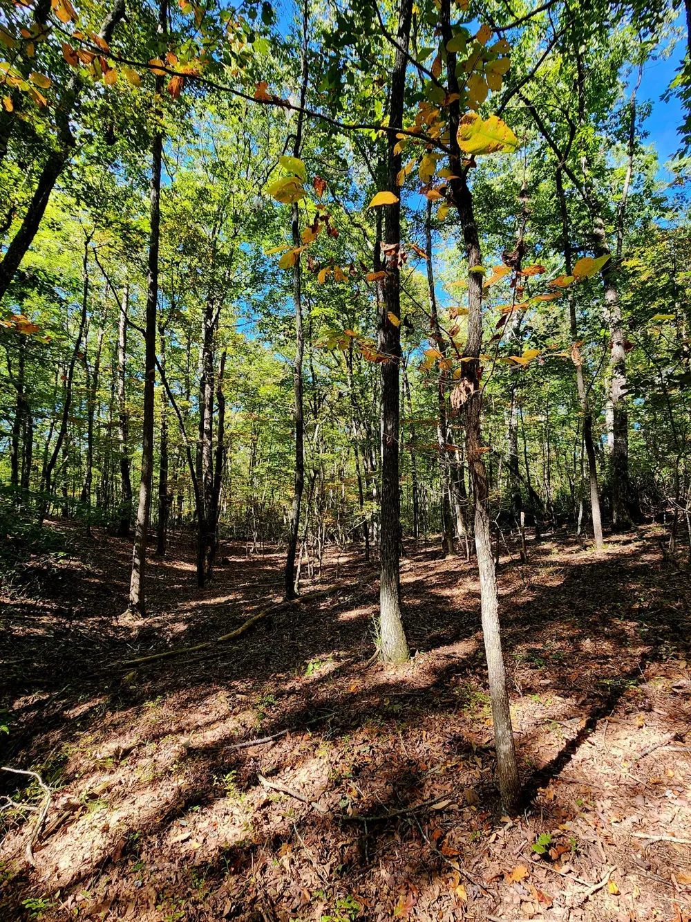 Ridge Wood Lane Spencer, TN 38585