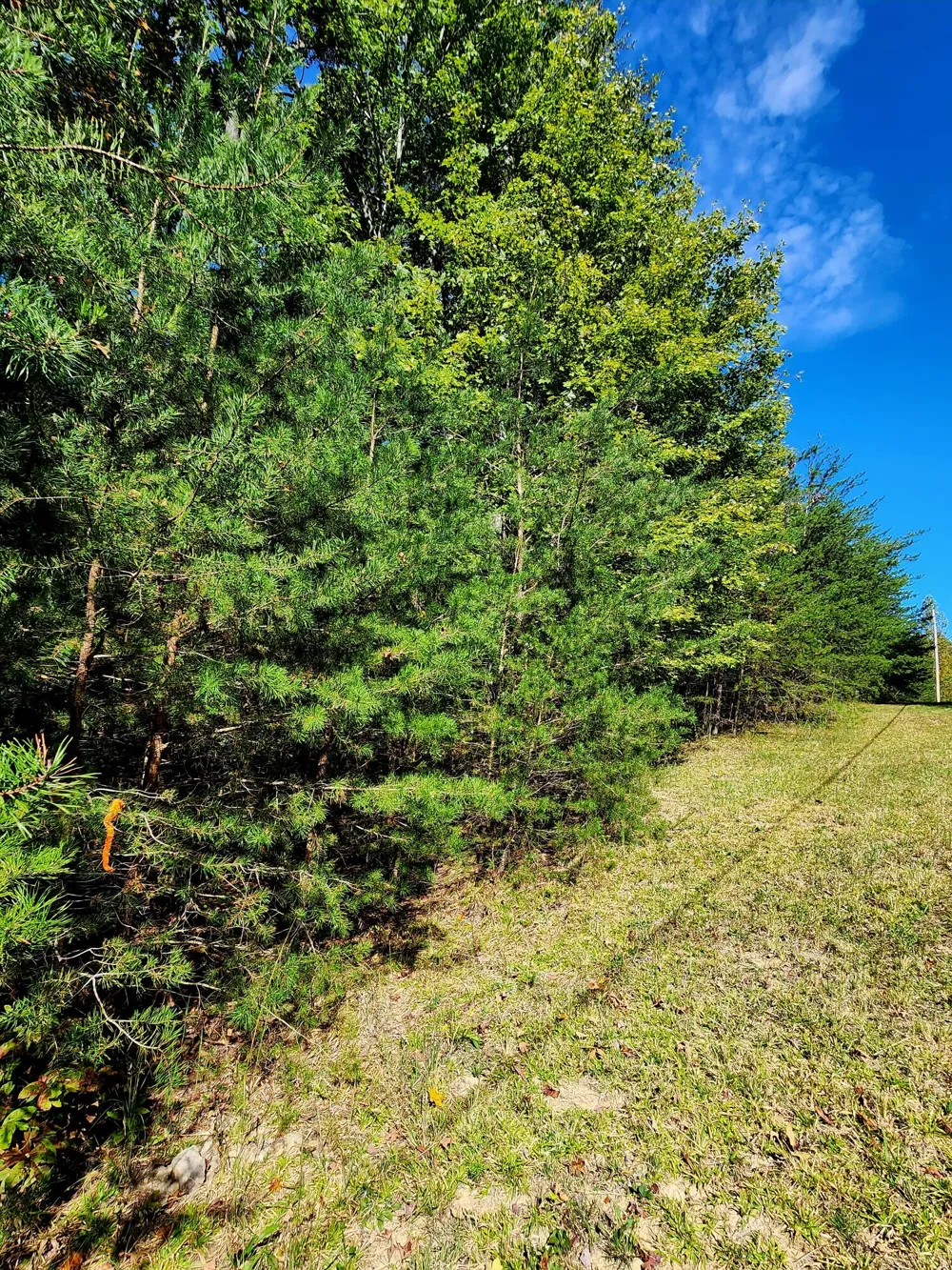 Ridge Wood Lane Spencer, TN 38585