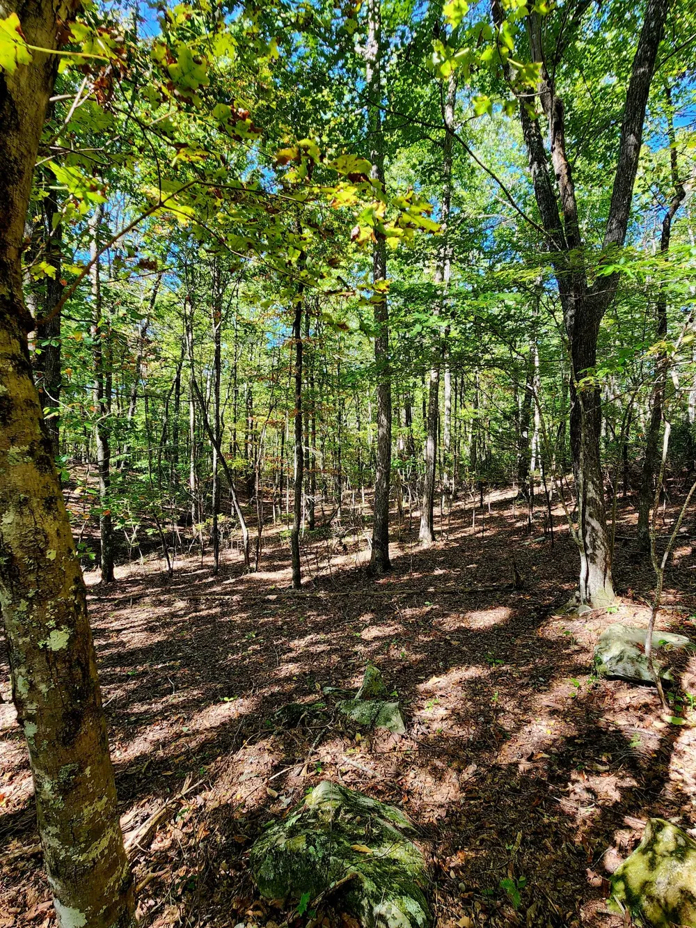 Ridge Wood Lane Spencer, TN 38585