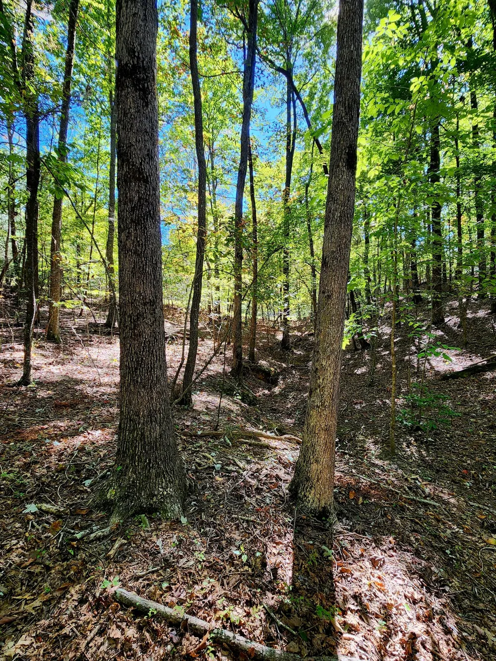 Ridge Wood Lane Spencer, TN 38585