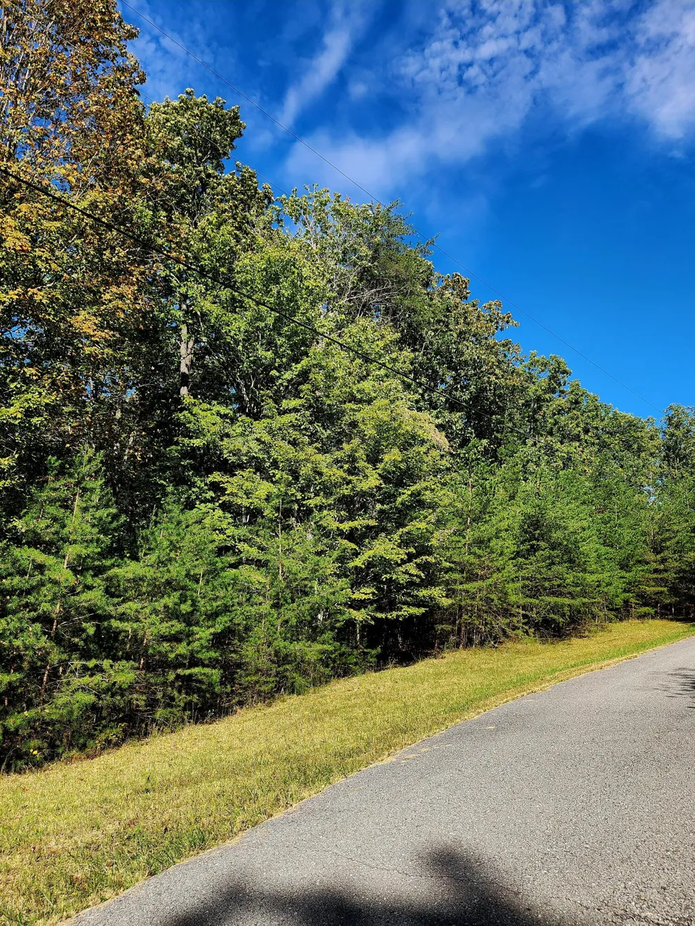 Ridge Wood Lane Spencer, TN 38585