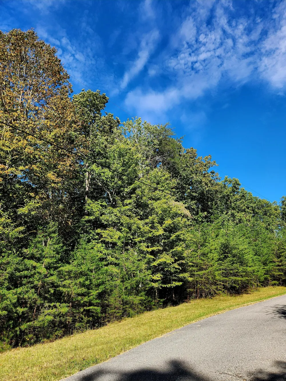 Ridge Wood Lane Spencer, TN 38585