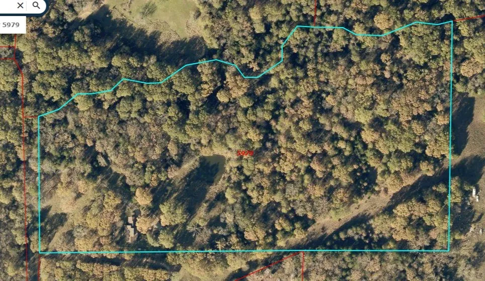 412 Rs County Road 1275 Emory, TX 75440
