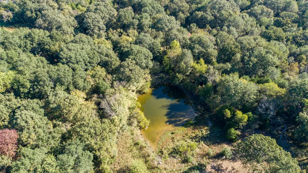 412 Rs County Road 1275 Emory, TX 75440