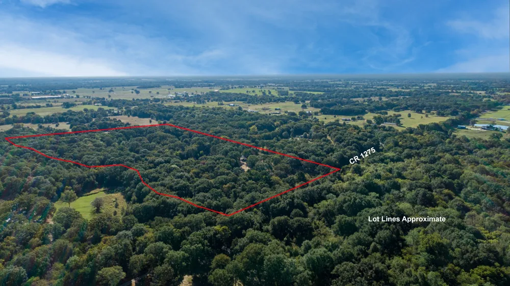 412 Rs County Road 1275 Emory, TX 75440