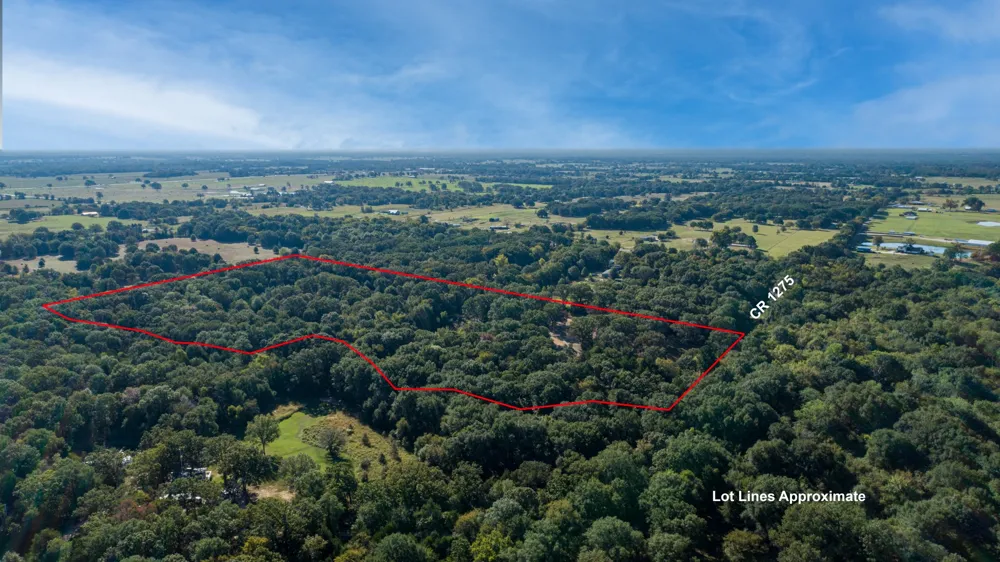 412 Rs County Road 1275 Emory, TX 75440