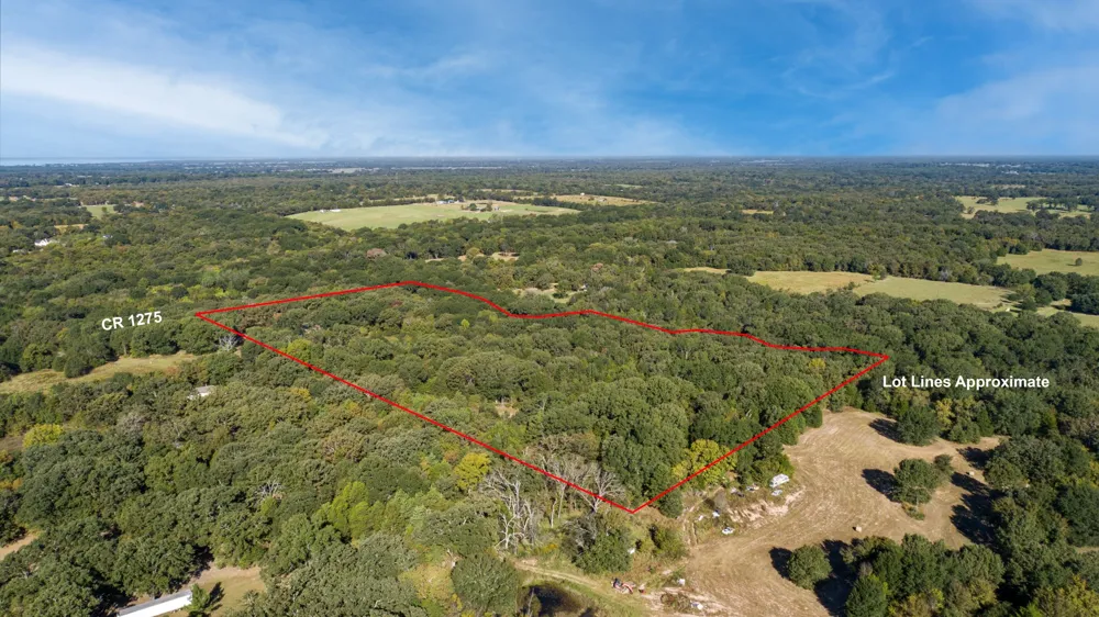 412 Rs County Road 1275 Emory, TX 75440