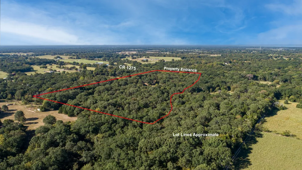 412 Rs County Road 1275 Emory, TX 75440