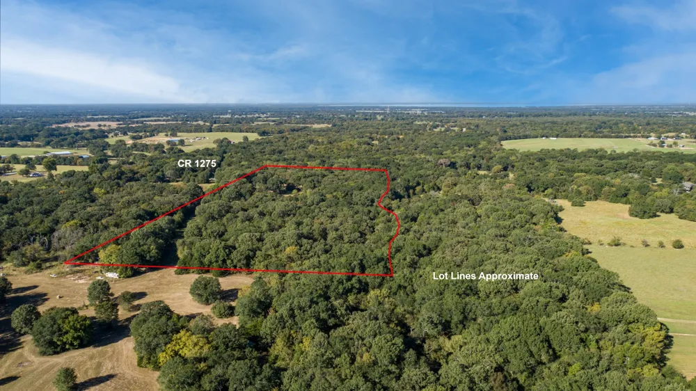 412 Rs County Road 1275 Emory, TX 75440