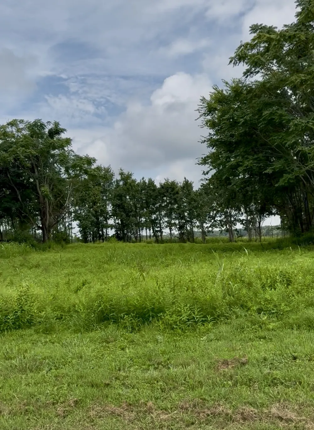 255 Shoals Rd Rock Island, TN 38581