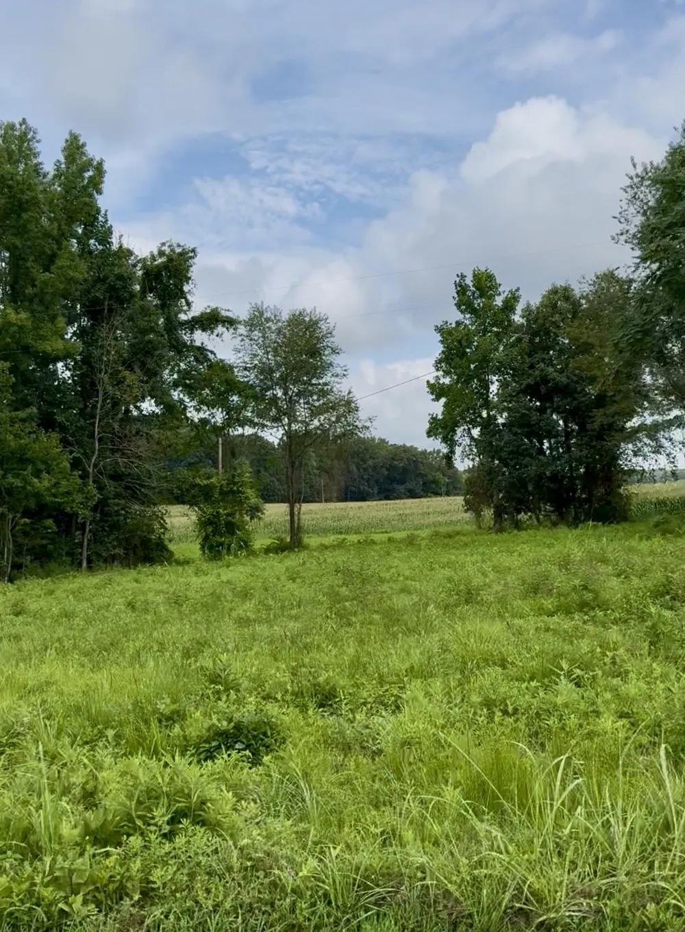 255 Shoals Rd Rock Island, TN 38581