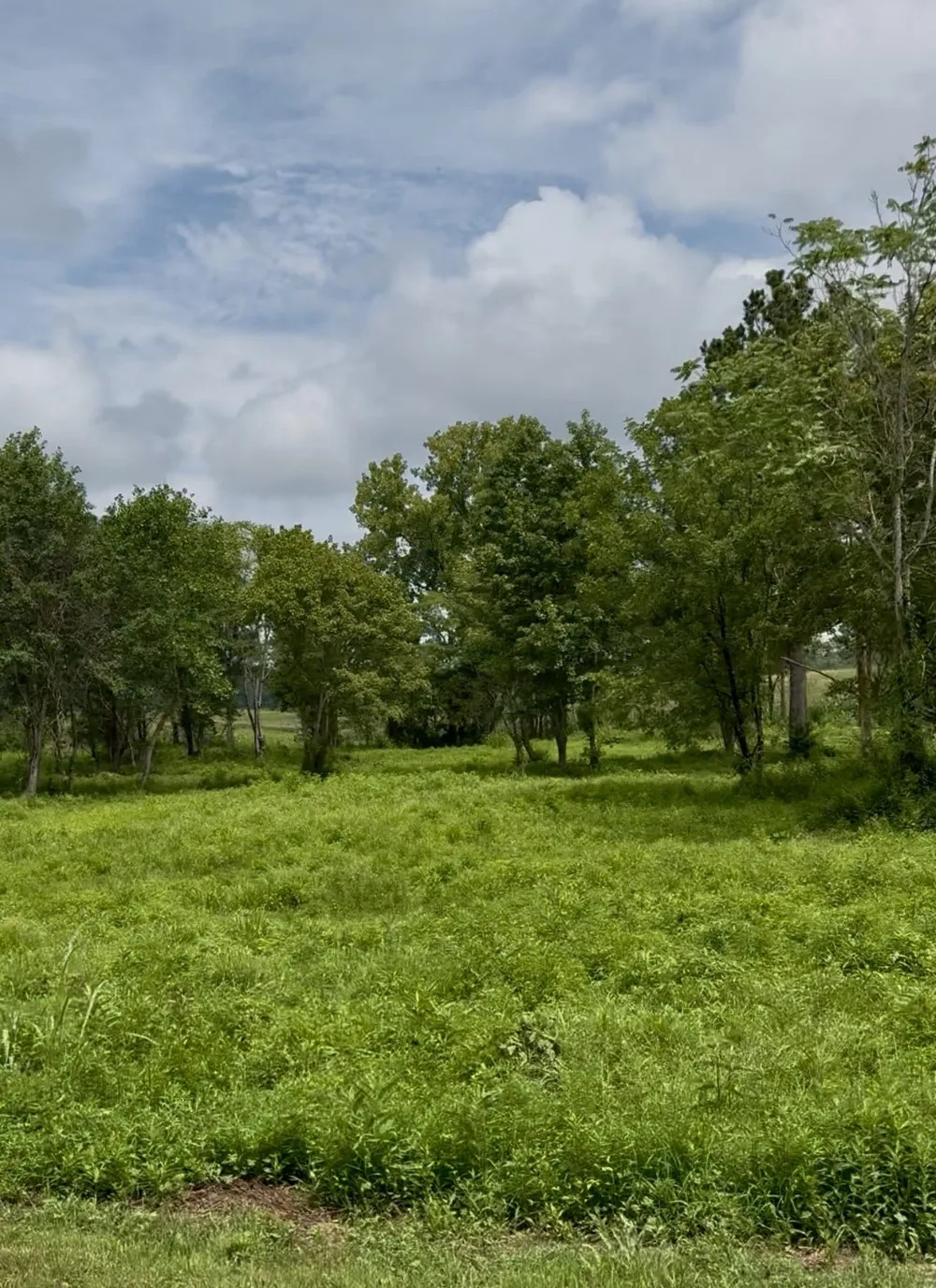 255 Shoals Rd Rock Island, TN 38581