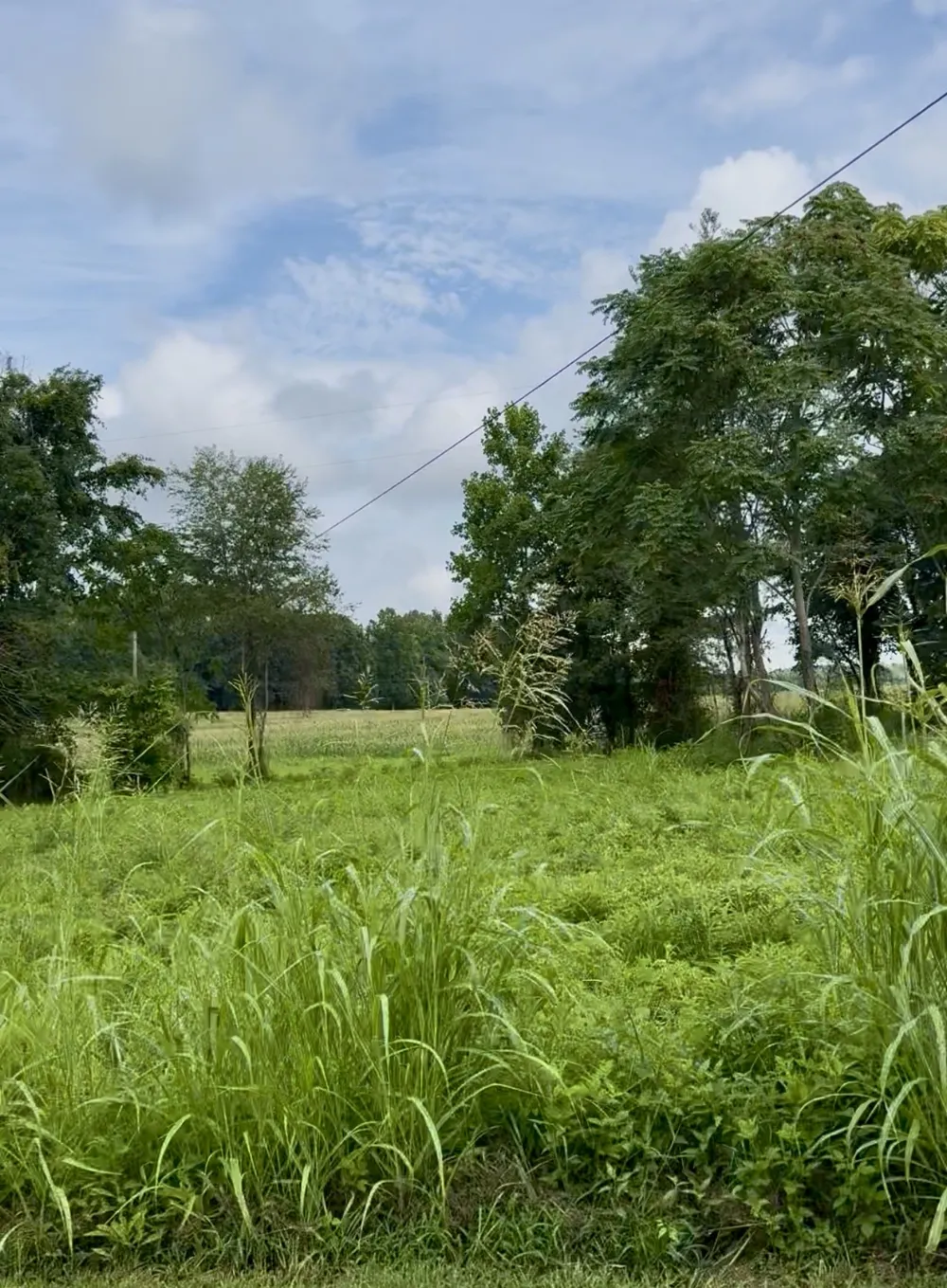 255 Shoals Rd Rock Island, TN 38581