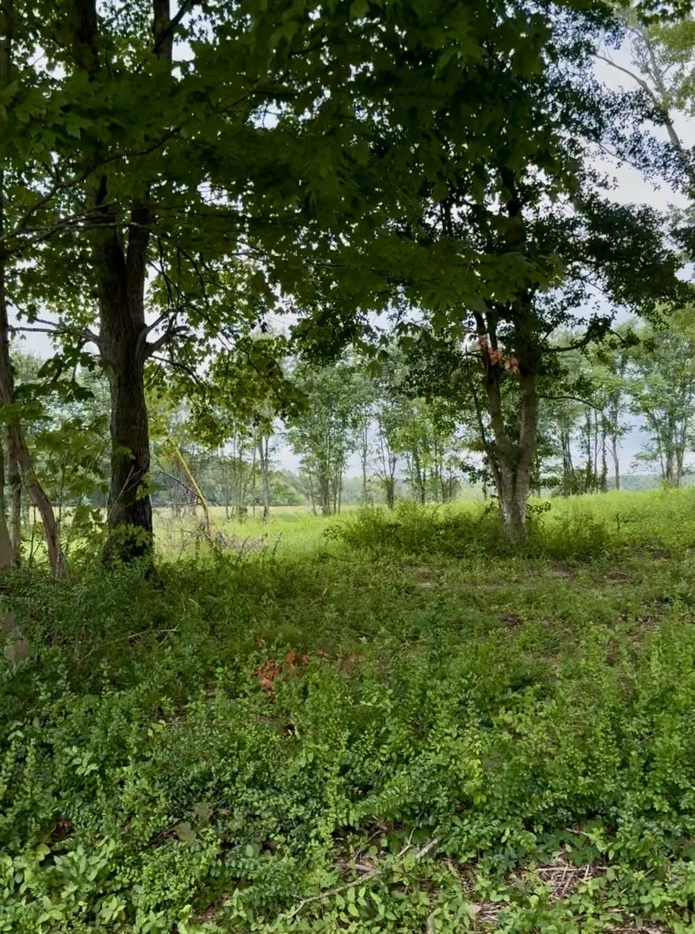 255 Shoals Rd Rock Island, TN 38581