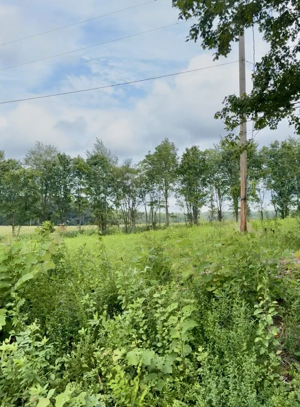 255 Shoals Rd Rock Island, TN 38581