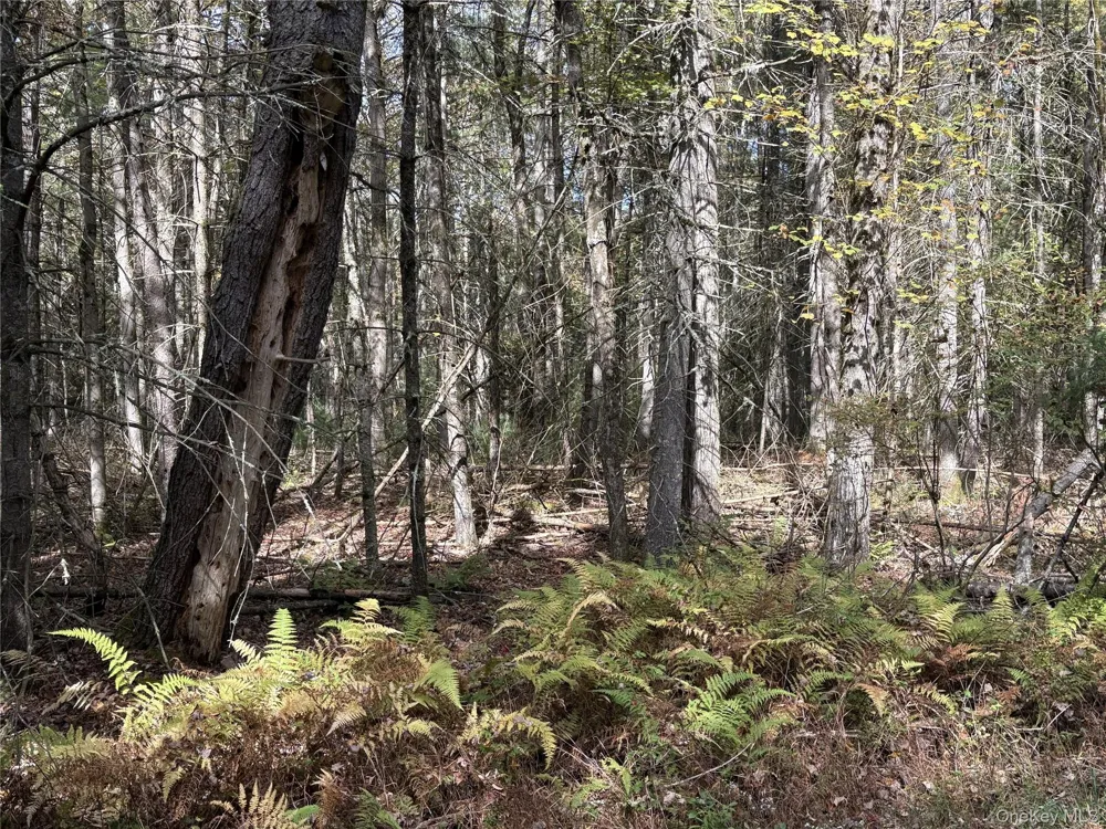 17 Lot 17 Desmond Crossing Bethel, NY 12720