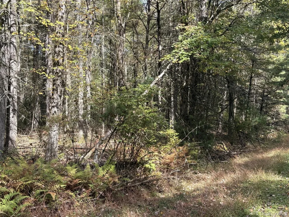 17 Lot 17 Desmond Crossing Bethel, NY 12720