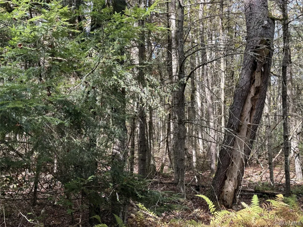 17 Lot 17 Desmond Crossing Bethel, NY 12720