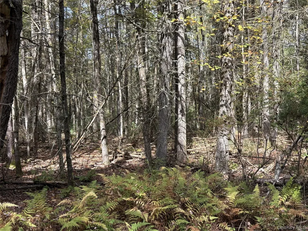 17 Lot 17 Desmond Crossing Bethel, NY 12720