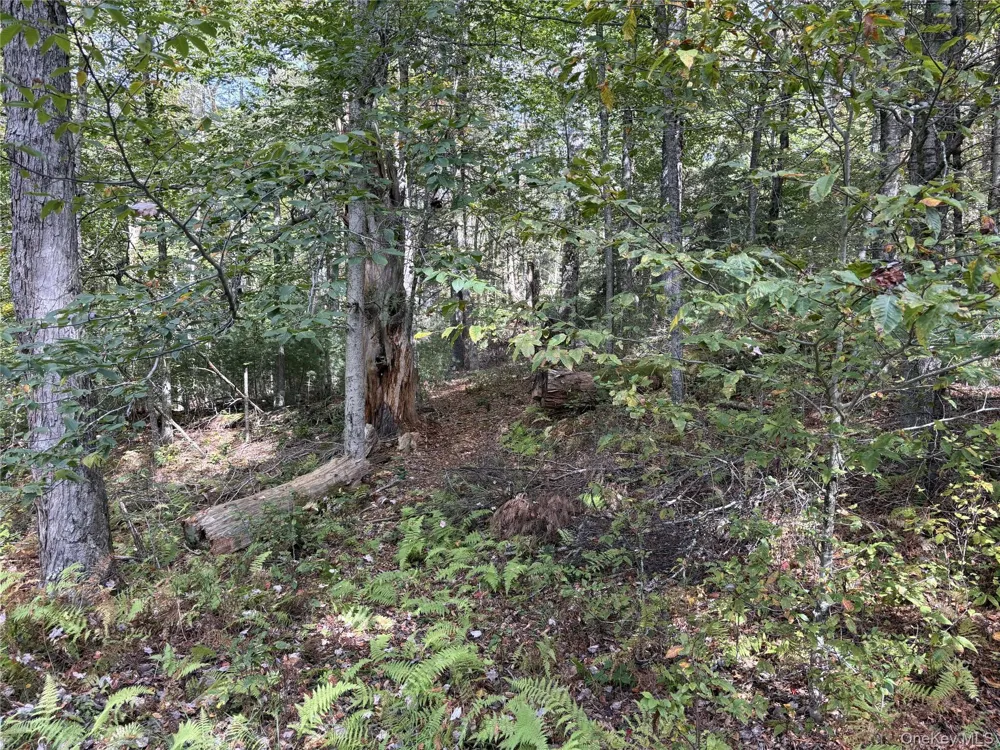 17 Lot 17 Desmond Crossing Bethel, NY 12720