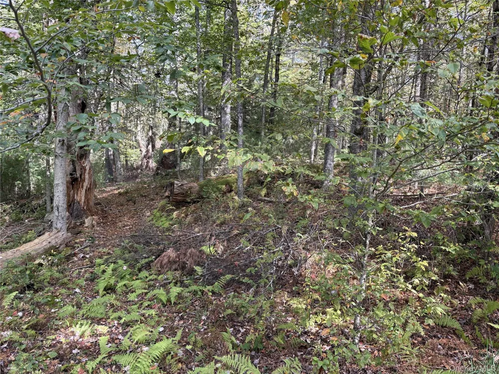17 Lot 17 Desmond Crossing Bethel, NY 12720
