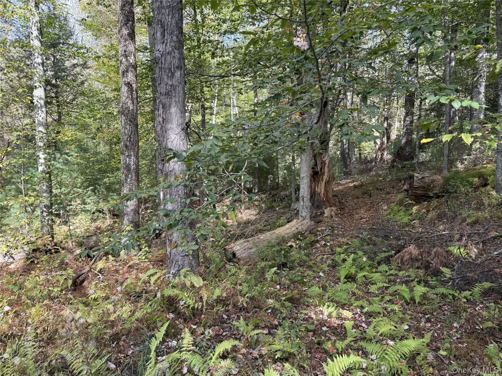17 Lot 17 Desmond Crossing Bethel, NY 12720