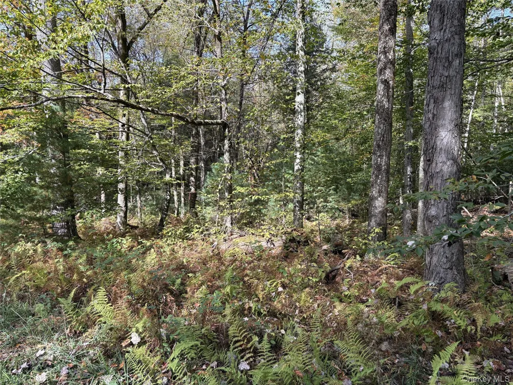 17 Lot 17 Desmond Crossing Bethel, NY 12720