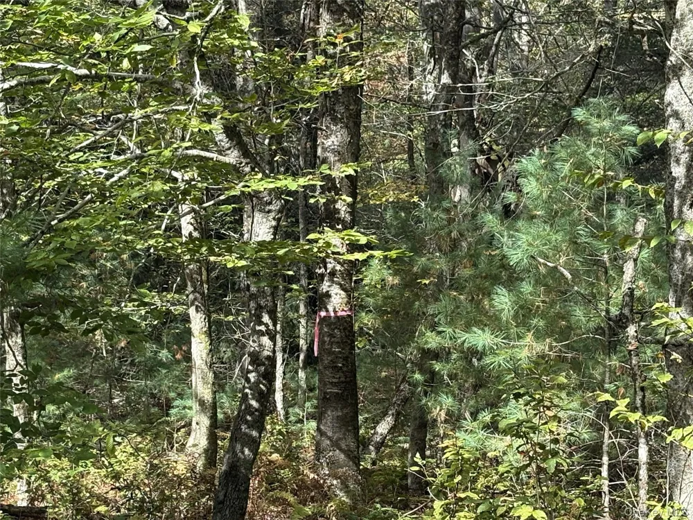 17 Lot 17 Desmond Crossing Bethel, NY 12720