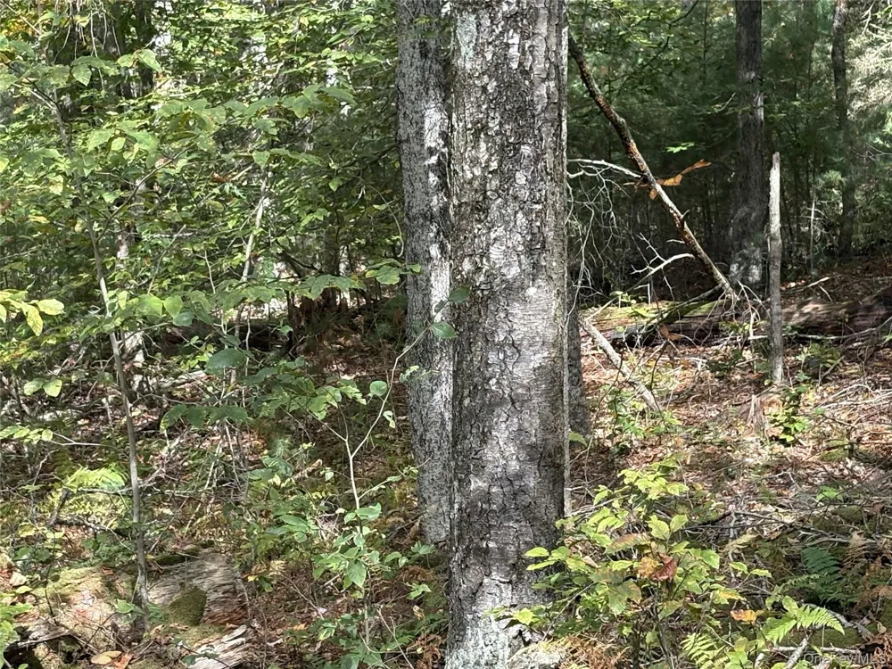17 Lot 17 Desmond Crossing Bethel, NY 12720
